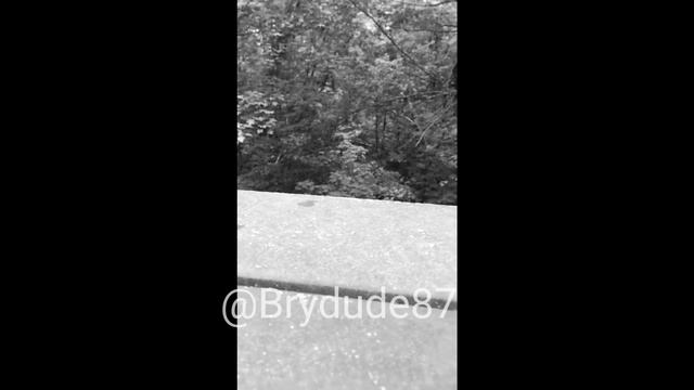 R.I.P FROG (frog jumps off bridge/see you again meme) смотреть онлайн