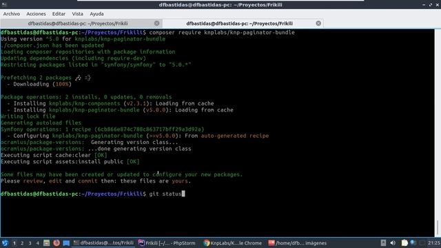 14. Curso de Symfony 5 - KnpPaginatorBundle смотреть онлайн
