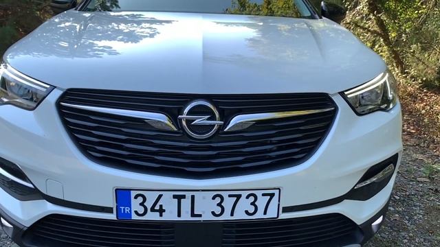OPEL GRANDLAND X смотреть онлайн