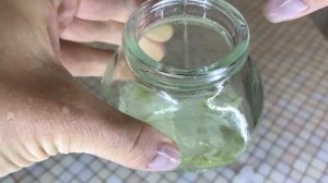 АЛОЭ ВЕРА ДЛЯ РОСТА ВОЛОС И ОТ ВЫПАДЕНИЯ✅ СРЕДСТВО ДЛЯ ВОЛОС. КАК ОТРАСТИТЬ ГУСТЫЕ И ДЛИННЫЕ ВОЛОСЫ