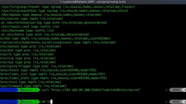 PoC de hacking Aplicación Web Vulnerable montada con Alpine y minikube смотреть онлайн