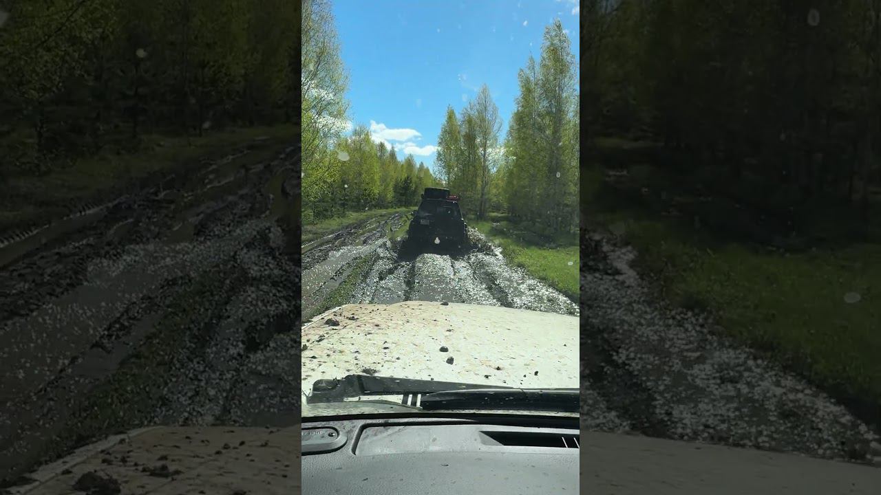 Первый пробный выезд #offroad #patrol #automobile #offroading #mud #nissanpatrol #nissansafari смотреть онлайн