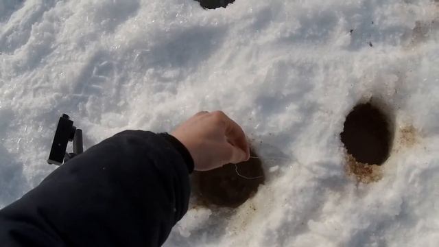 КАК ПОЙМАТЬ ПЛОТВУ В ФЕВРАЛЕ ?.ХОРОШИЙ КЛЕВ.ОТЛИЧНЫЙ ДЕНЕК смотреть онлайн