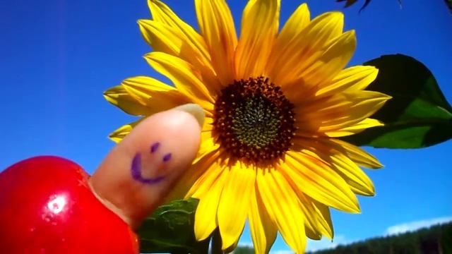 Поздравляю ЛЕВ смотреть онлайн