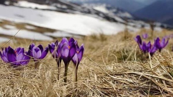 seven-days-gridlocked-remix