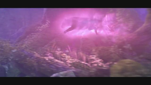 World of Warcraft Cinematic Trailer | 4K 60FPS Dolby Vision HDR смотреть онлайн