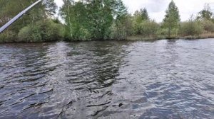 Спонтанная но отличная рыбалка на ,,зеленом острове,,