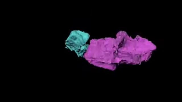 3D Visualization of a Juvenile Ichthyostega смотреть онлайн