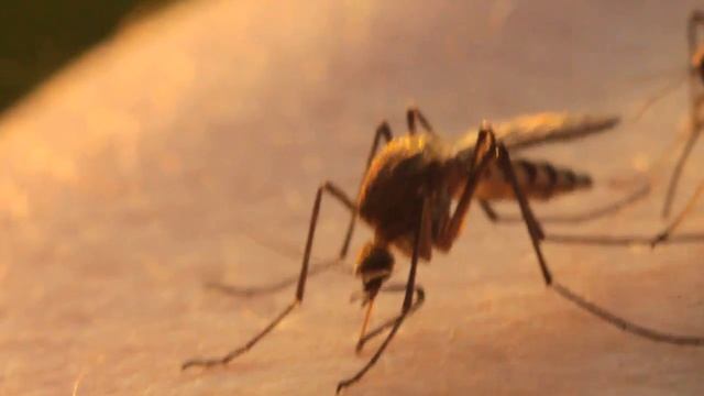 Мистические смерти и возрождение