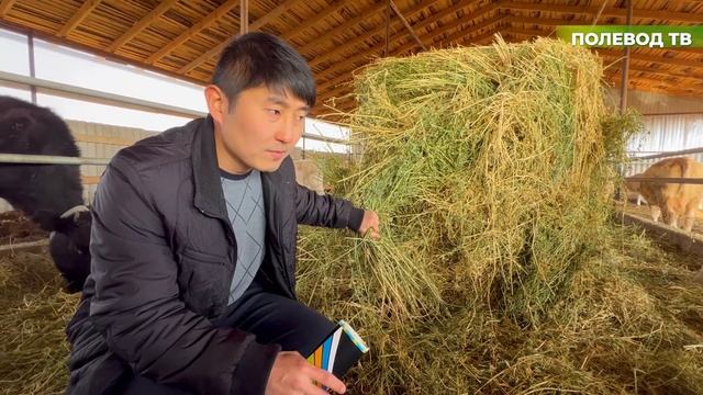 ВАЖНОЕ УДОБРЕНИЕ ДЛЯ ЛЮЦЕРНЫ! АКВАМИКС ТВ! смотреть онлайн