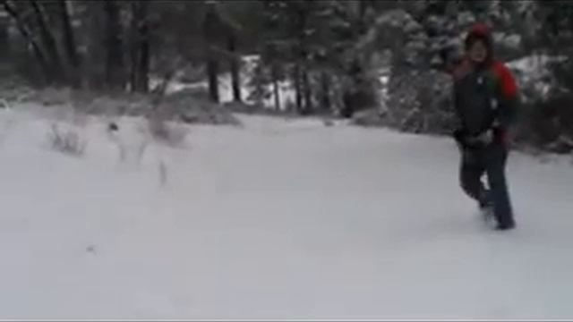 Are we there yet... (1 of 3) смотреть онлайн