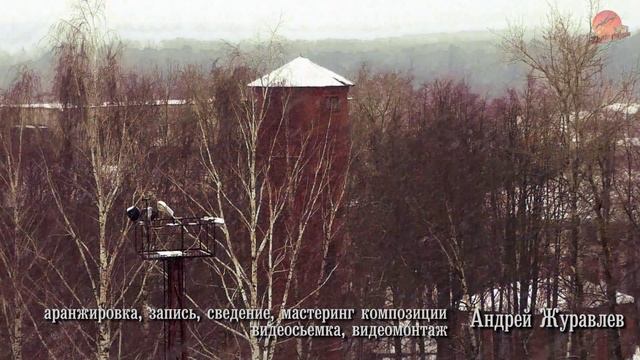 Погляделки из окна.