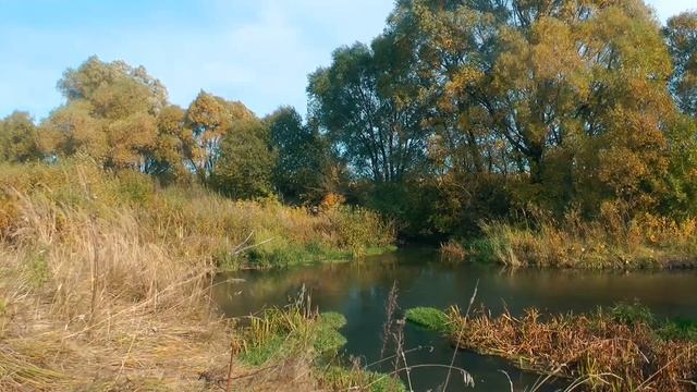 Видео для сна, релаксации и расслабления. Золотая осень, ветер, река. В гармонии с природой АСМР