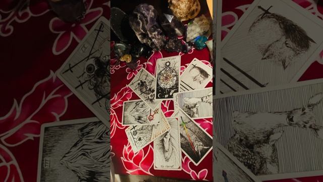 November 3, 2023 witches’ wheel of the year reading with the WildUnknown Tarot??? смотреть онлайн