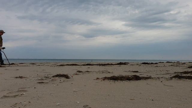 Поиск на пляже Чёрного моря, 2020 год осень. смотреть онлайн