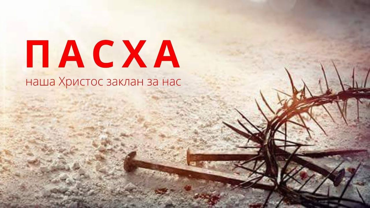 Пасхальное Богослужение | 24.04.2022 смотреть онлайн