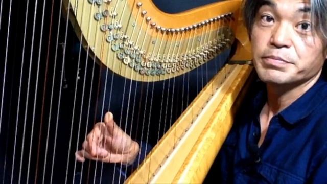 Harp EX12 - Flamenco Harp! смотреть онлайн