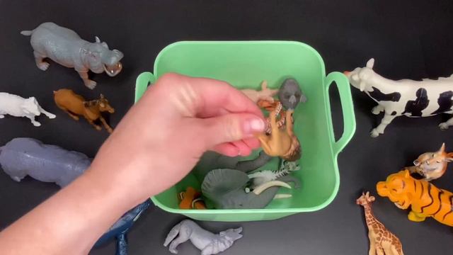 Exploring the Animal Kingdom - A Zoo of Animal Toy Figurines - Learn their Names for Kids! смотреть онлайн