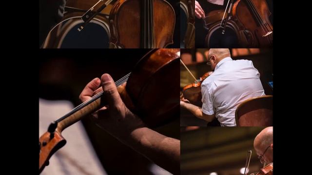 Gerhard Sonata, II Grave, Paul Cortese,viola, Michel Wagemans, piano смотреть онлайн