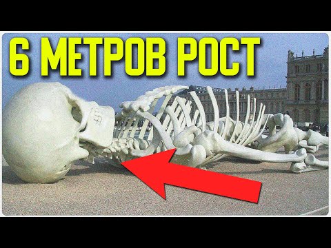 ✅ Настоящее видео скелета великана смотреть онлайн