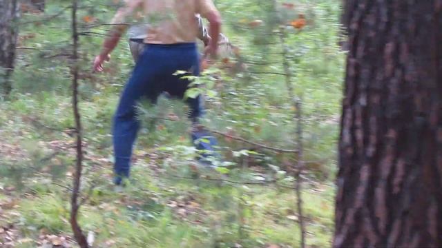 Лайка и барсук. смотреть онлайн