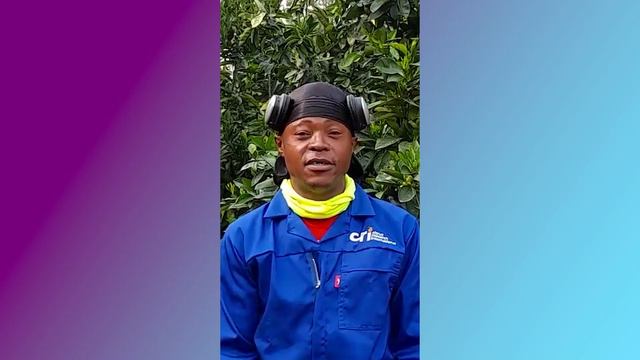 AGT 2021 - Jack Jonas, CRI Citrus Foundation Block, Uitenhage смотреть онлайн