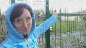 Видео привет с 6 соток 23 апреля 2024 года