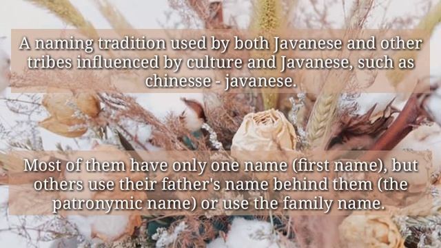 Naming traditions in Java #UNSIKA смотреть онлайн