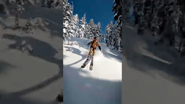 Спуск на горных лыжах смотреть онлайн