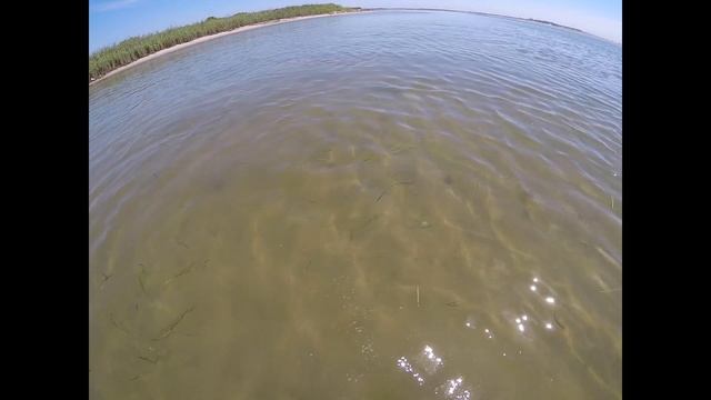I Found Giant Crystal Holographic Diamond Pearl buried in sea. смотреть онлайн