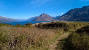 Как относятся к русским в Новой Зеландии после событий в Украине