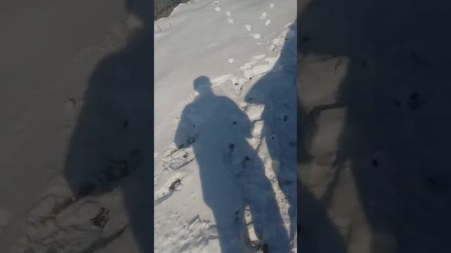 Актион спорт 2006 год запуск двс,после замены турбины и форсунок смотреть онлайн
