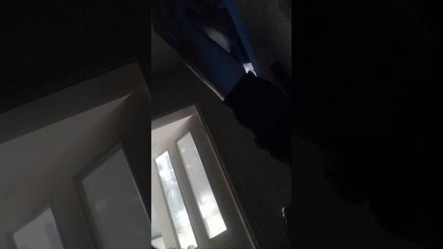 reading peppa pig book смотреть онлайн