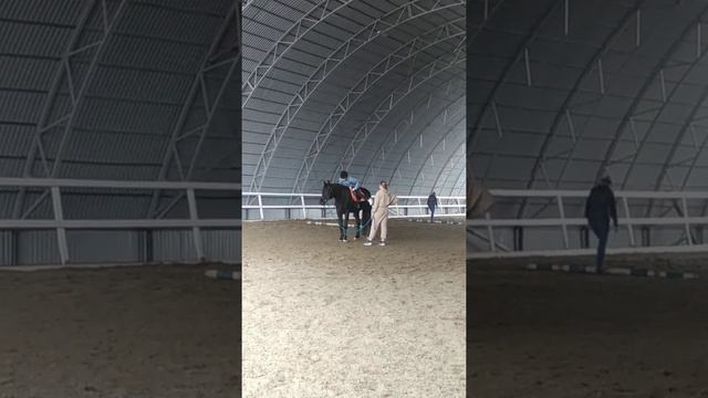 я начала заниматься конным спортом . видео с первого занятия . смотреть онлайн