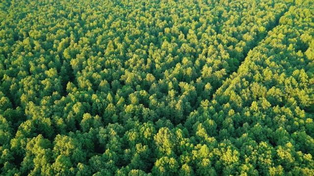 Полёты на воздушных шарах, Казань смотреть онлайн