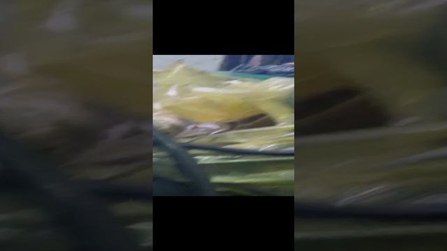 Собрали Газ 560