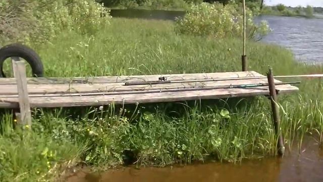 Отличный отдых, коп на рыбалке или красоты Верхневолжья смотреть онлайн
