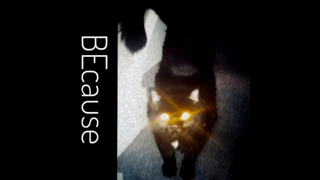 Hammerne - "BEcause" (Dreamcatcher EN Cover) смотреть онлайн