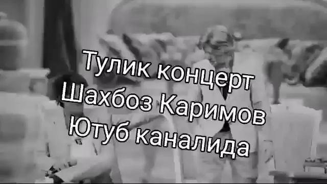 Dizayn Jamoasi 2023 Konsert Dasturi Дизайн Erik Xaydar Эрик хайдар Shaxboz Karimov Шахбоз Каримов