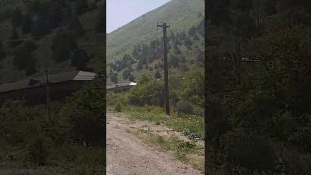 Зомин санатория Узбекистан смотреть онлайн