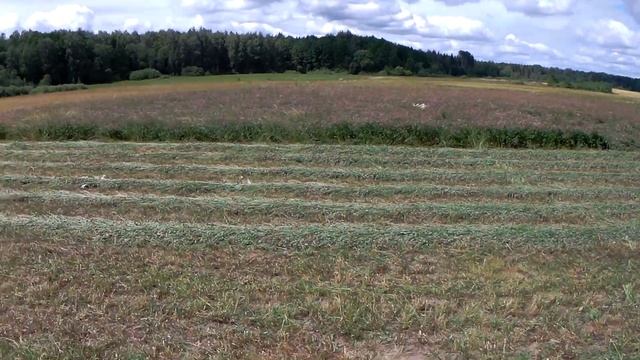 Про сено заготовку и рулонный пресс claas / крутим сенаж засуха на сенокосе смотреть онлайн