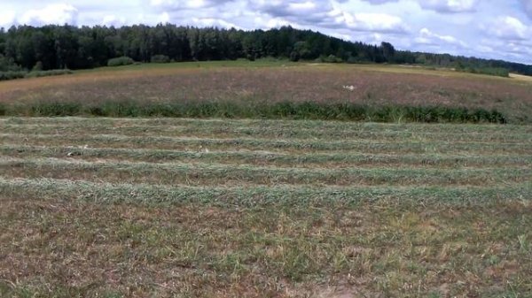 Про сено заготовку и рулонный пресс claas / крутим сенаж засуха на сенокосе