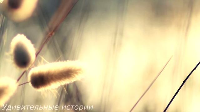 Миллионер взял сиделкой бывшую зечку для своего сына. Но когда он вернулся из командировки... смотреть онлайн