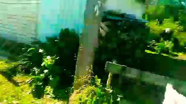 |Дни на ДАЧЕ|#Дача|Мистический квест?|?#1 смотреть онлайн