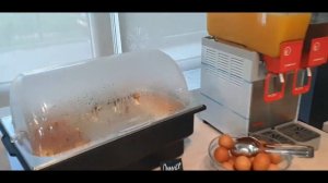 Абхазия Старая Гагра Отель Sunrise Garden Hotel 3***