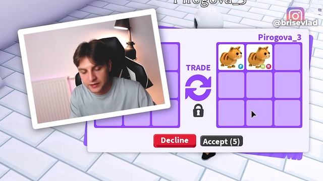 МОЯ ДЕВУШКА ВЗЛОМАЛА МЕНЯ В АДОПТ МИ И УКРАЛА ВСЕХ ПЕТОВ! История в Adopt Me Roblox Брайс Роблокс смотреть онлайн