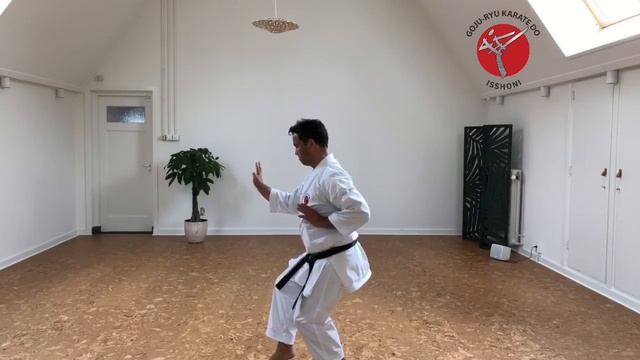 Online karate les 25 april 2020 смотреть онлайн