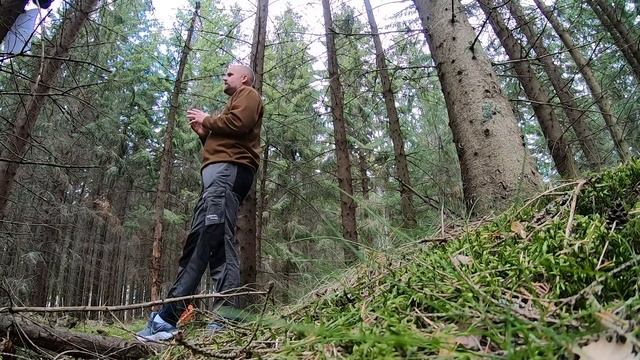 Första testet av nya Stihl MS 400 C смотреть онлайн