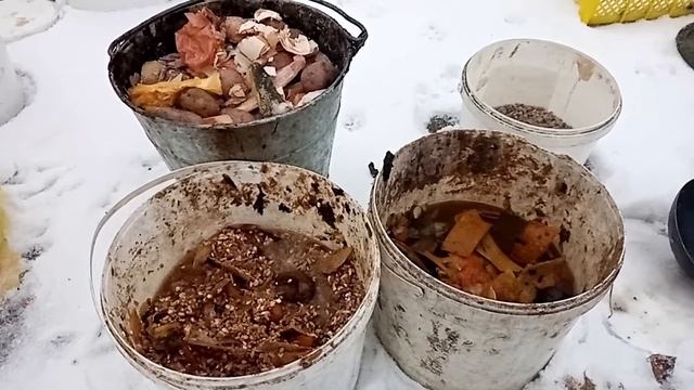 ЧЕМ КОРМИМ КУРЕЙ-WHAT WE FEED CHICKENS смотреть онлайн
