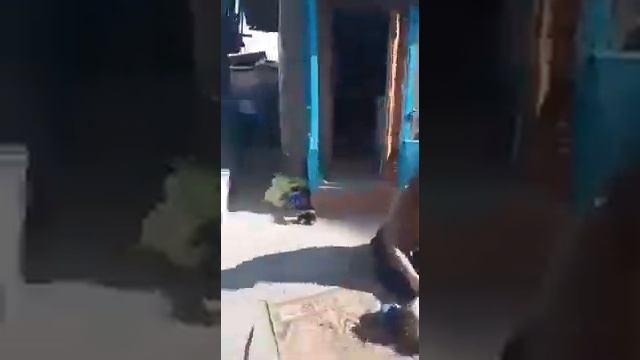 Замёрз два мальчика в холодильнике ((( смотреть онлайн
